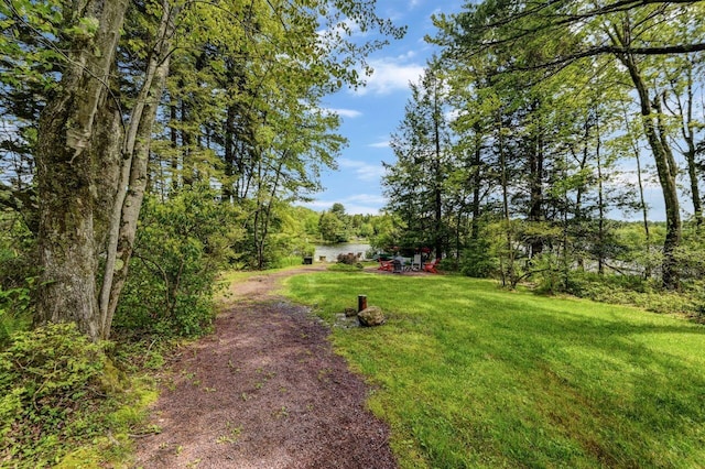 6206 Lakeview Dr, Pocono Pines, PA 18350 - photo 77