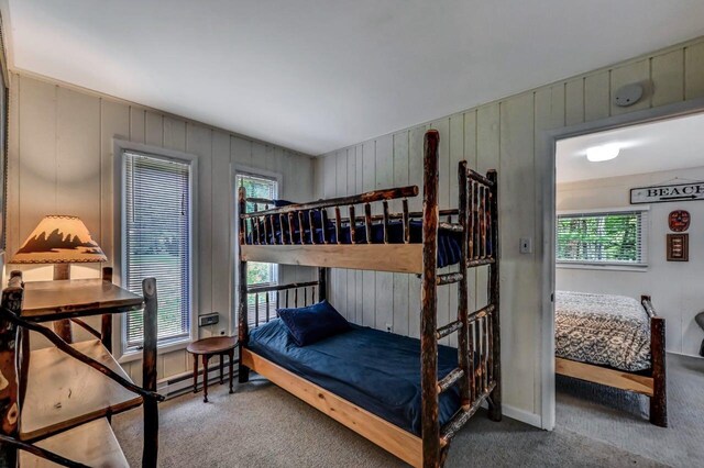 6206 Lakeview Dr, Pocono Pines, PA 18350 - photo 57
