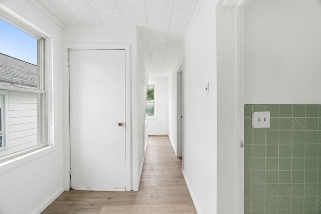 69 Hutson St, Wilkes Barre, PA 18702 - hall with plenty of natural light and light wood-type flooring