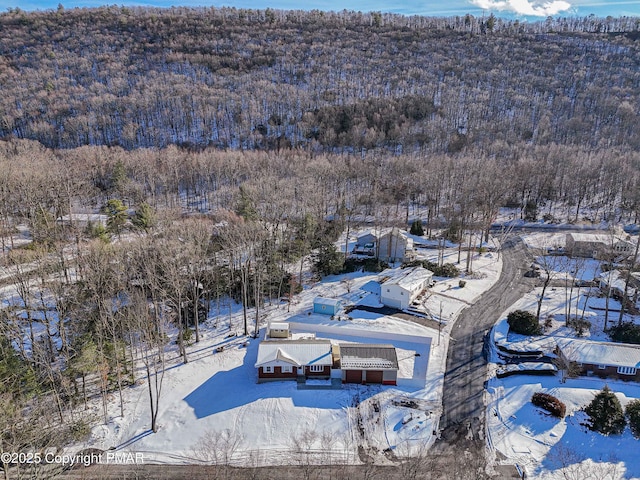 view of snowy aerial view