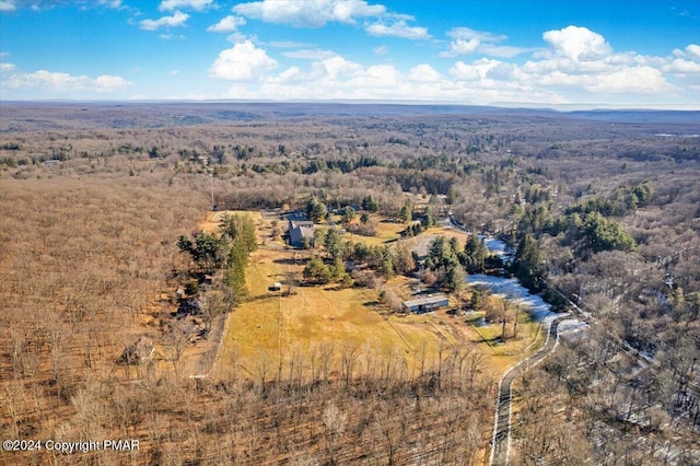 bird's eye view with a forest view