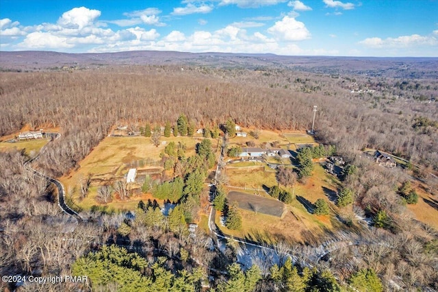 aerial view with a wooded view