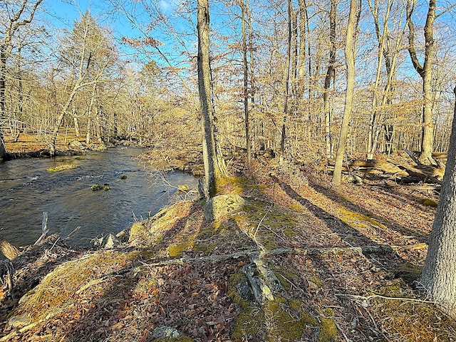 view of local wilderness