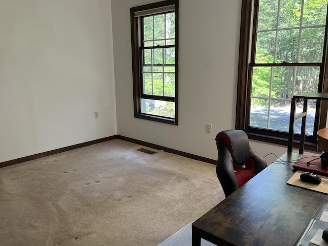 3813 Foxborough Ct, Stroudsburg, PA 18360 - carpeted office space featuring healthy amount of natural light