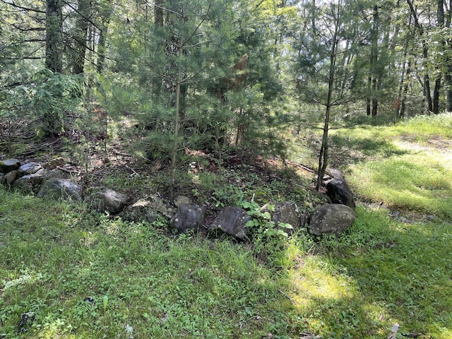 3813 Foxborough Ct, Stroudsburg, PA 18360 - view of tree filled area