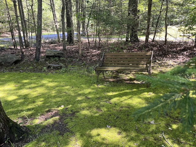 3813 Foxborough Ct, Stroudsburg, PA 18360 - view of grassy yard