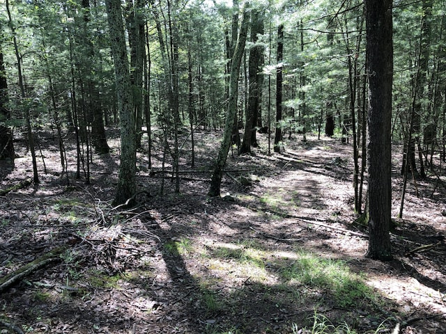 3813 Foxborough Ct, Stroudsburg, PA 18360 - view of tree filled area