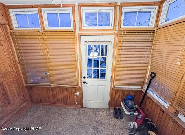 doorway to outside featuring wood walls and carpet floors