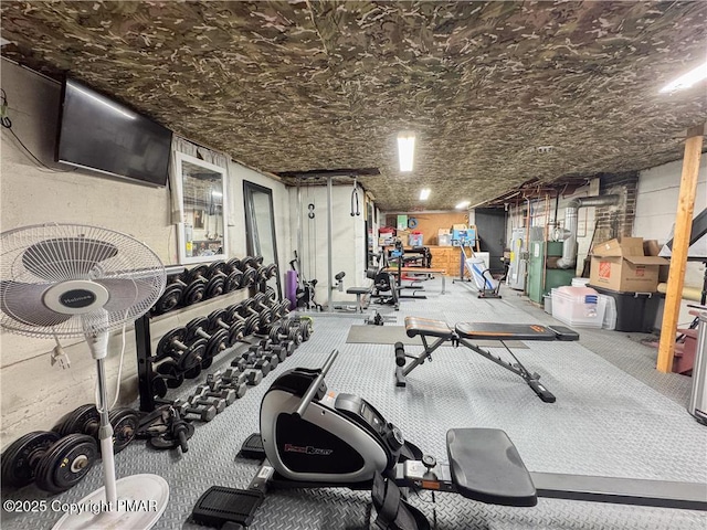 workout room featuring carpet flooring