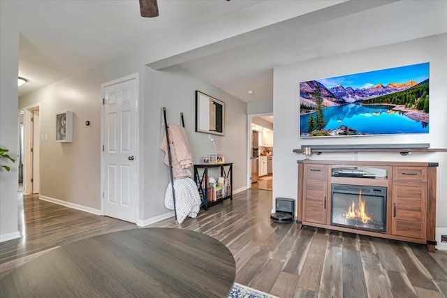 489 Sportsman Club Rd, Nazareth, PA 18064 - living area with wood finished floors and a glass covered fireplace
