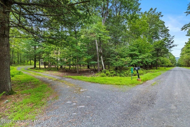 121 Cedar Ln, Canadensis, PA 18325 - photo 36