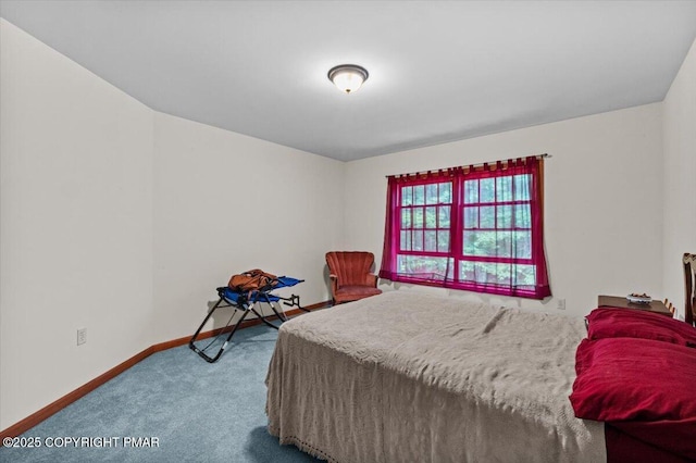 121 Cedar Ln, Canadensis, PA 18325 - photo 27