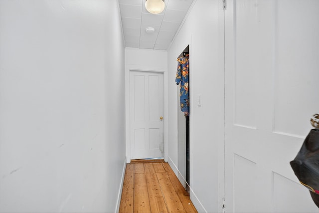 10 S Broad St, Bangor, PA 18013 - corridor featuring light wood-type flooring and baseboards