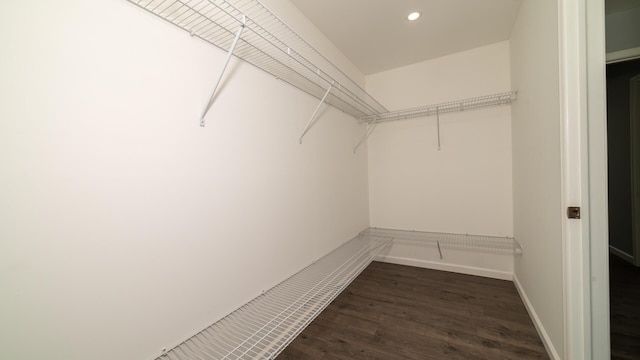 walk in closet with dark wood-style flooring
