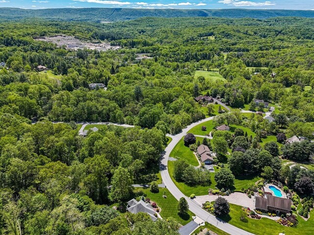 1376 Buck Ridge Dr, Stroudsburg, PA 18360 - drone / aerial view of a forest