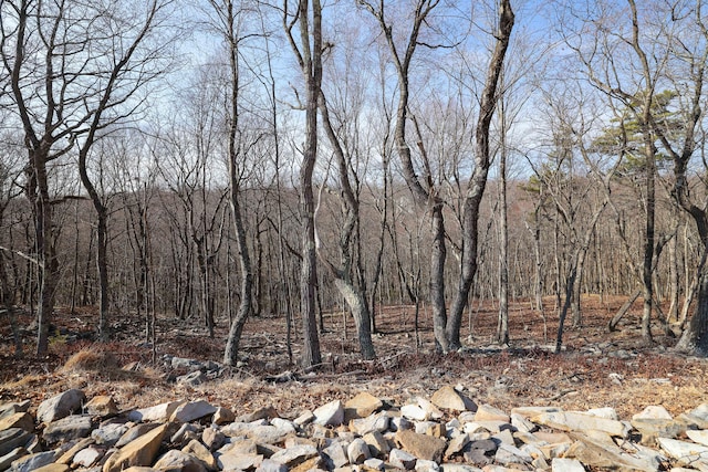 view of landscape with a forest view