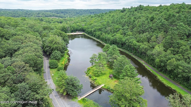 619 Rimrock Rd, Bartonsville, PA 18321 - aerial view of a forest and a nearby body of water