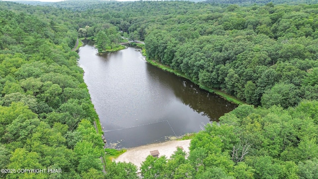 619 Rimrock Rd, Bartonsville, PA 18321 - aerial view of a large body of water