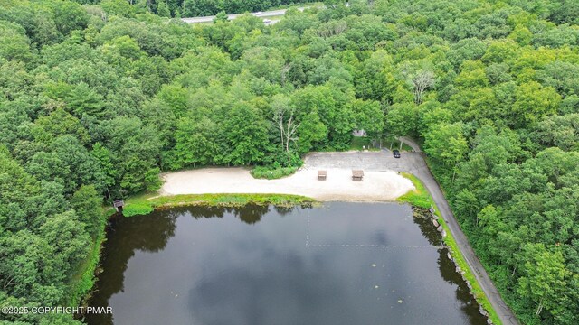 619 Rimrock Rd, Bartonsville, PA 18321 - view of property location featuring a forest and a large body of water