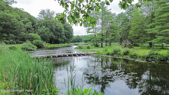 619 Rimrock Rd, Bartonsville, PA 18321 - water view with a heavily wooded area