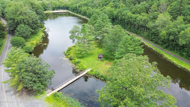 619 Rimrock Rd, Bartonsville, PA 18321 - bird's eye view of a large body of water