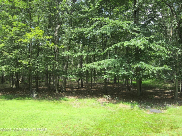 204 Mohican Rd, Canadensis, PA 18325 - photo 6