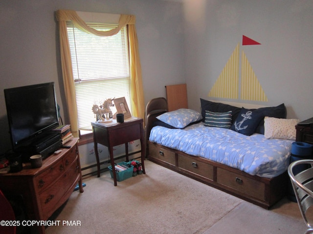 204 Mohican Rd, Canadensis, PA 18325 - photo 14