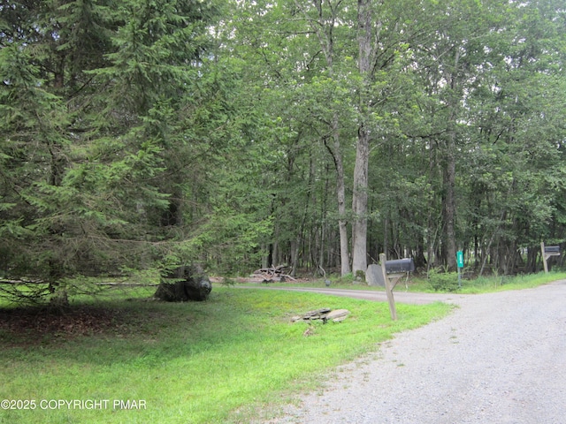 204 Mohican Rd, Canadensis, PA 18325 - photo 5