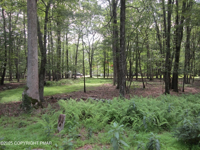 204 Mohican Rd, Canadensis, PA 18325 - photo 4