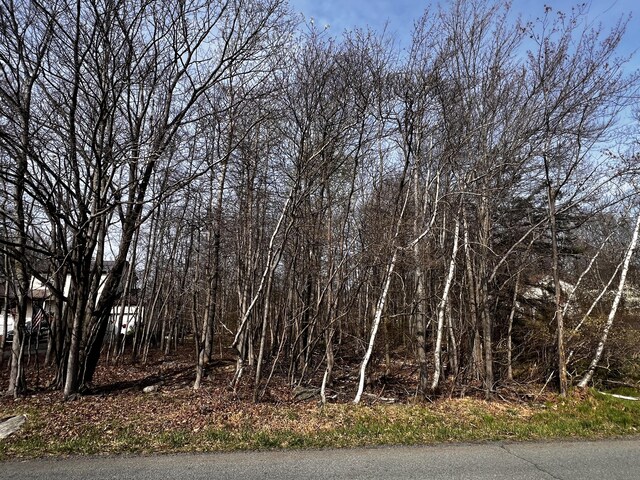LOT5420 Clearview Dr, Long Pond, PA 18334