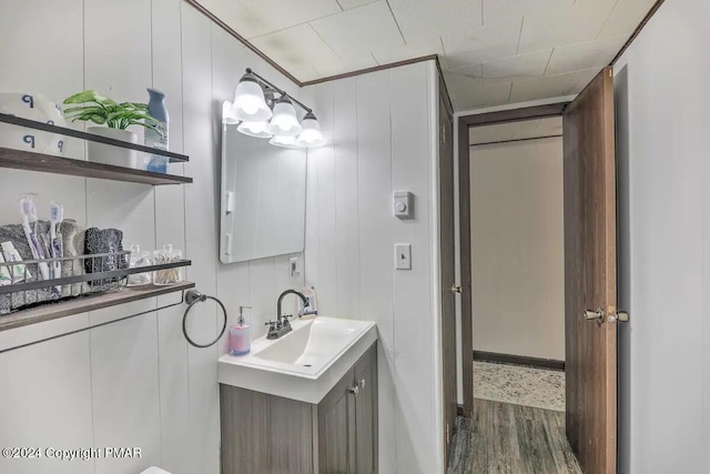 bathroom featuring wood finished floors and vanity