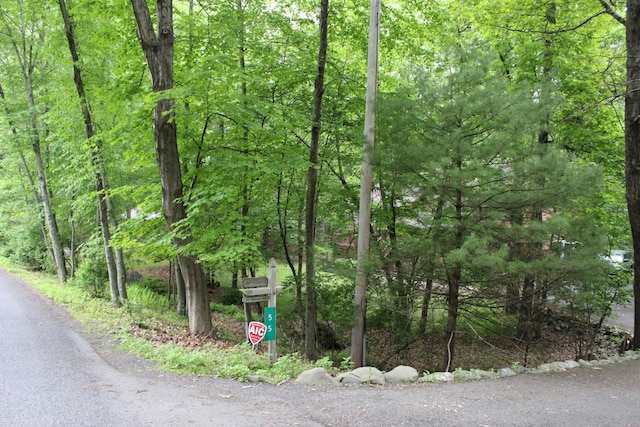 55 Arbutus Ln, East Stroudsburg, PA 18302 - photo 49