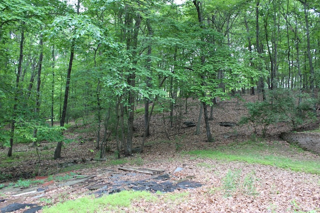 55 Arbutus Ln, East Stroudsburg, PA 18302 - photo 44