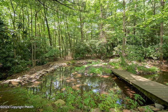 view of local wilderness featuring a forest view