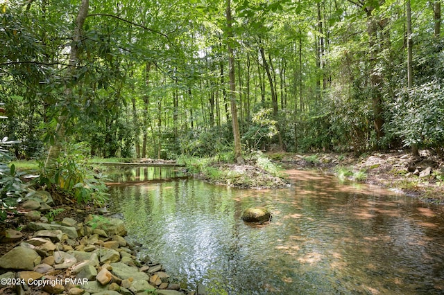 property view of water with a view of trees