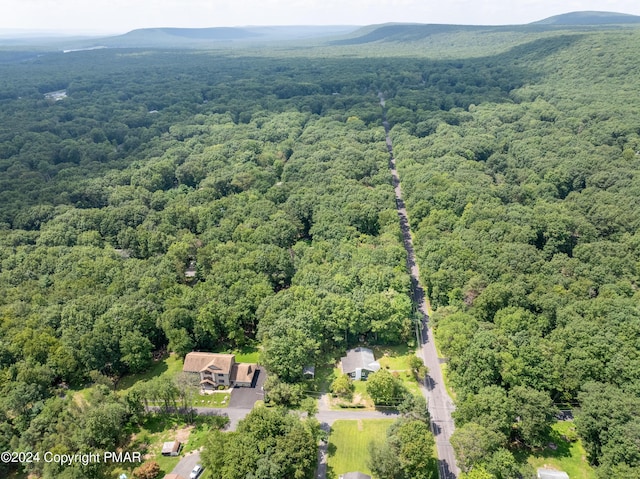 bird's eye view featuring a mountain view and a wooded view