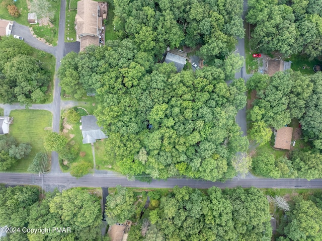 bird's eye view