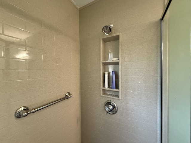 343 Echo Lake Rd, Tobyhanna, PA 18466 - room details featuring a tile shower