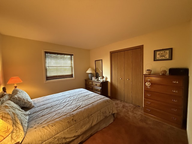 343 Echo Lake Rd, Tobyhanna, PA 18466 - bedroom with a closet and dark carpet