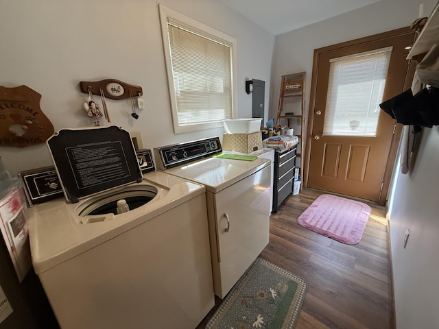 343 Echo Lake Rd, Tobyhanna, PA 18466 - laundry area with laundry area, washing machine and dryer, and wood finished floors