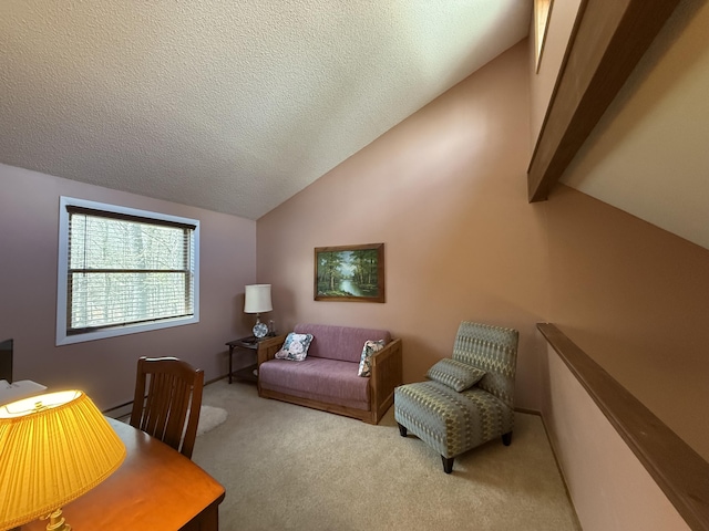 343 Echo Lake Rd, Tobyhanna, PA 18466 - home office with a textured ceiling, carpet floors, baseboard heating, and vaulted ceiling with beams