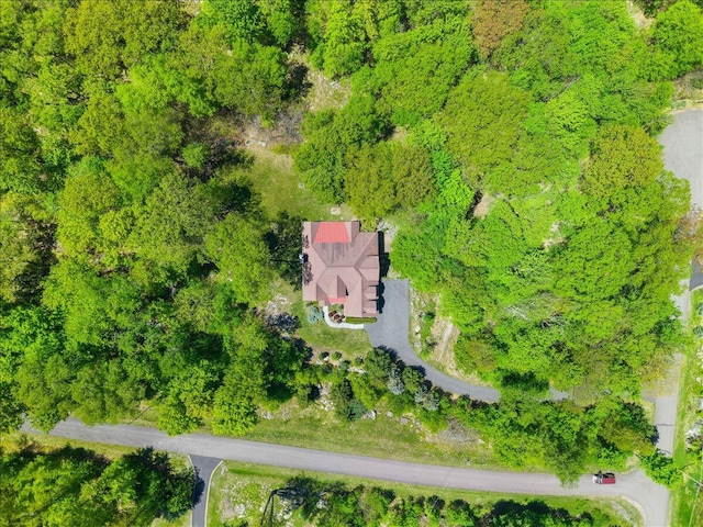 127 Timber Lake Dr, Canadensis, PA 18325 - view of subject property