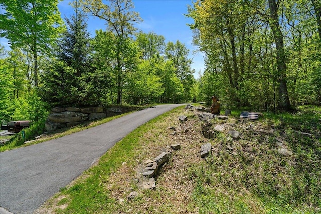 127 Timber Lake Dr, Canadensis, PA 18325 - view of street with a wooded view