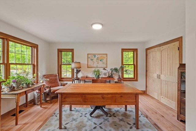 127 Timber Lake Dr, Canadensis, PA 18325 - home office featuring light wood-style flooring