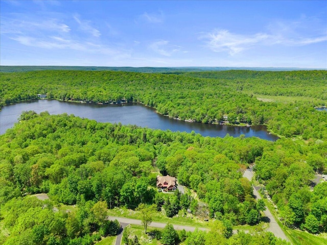 127 Timber Lake Dr, Canadensis, PA 18325 - bird's eye view of a forest and a large body of water