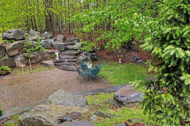 127 Timber Lake Dr, Canadensis, PA 18325 - view of yard with a patio area