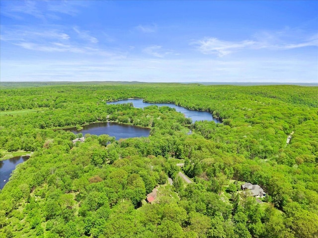 127 Timber Lake Dr, Canadensis, PA 18325 - bird's eye view of a forest and a nearby body of water
