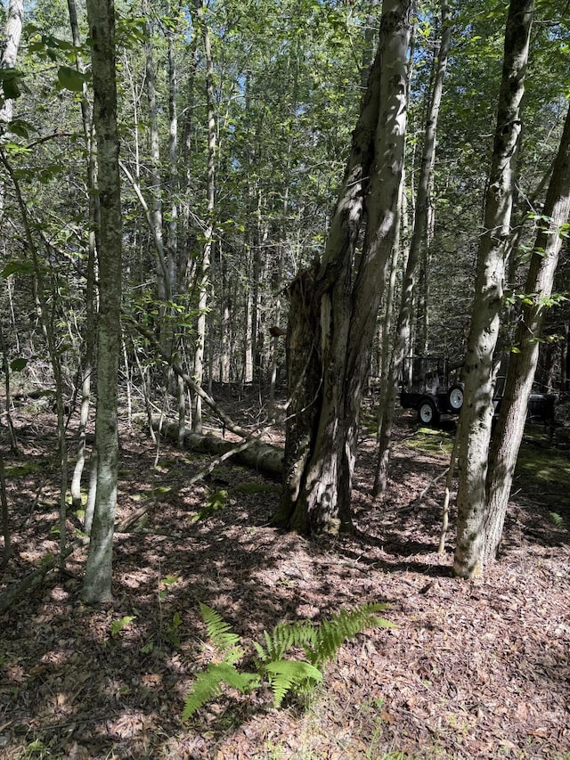 Fawn Rd, Hawley, PA 18428 - photo 2