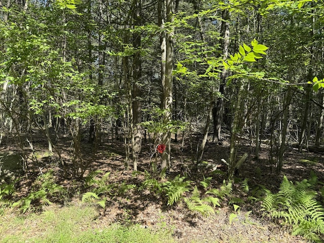 Fawn Rd, Hawley, PA 18428 - photo 1