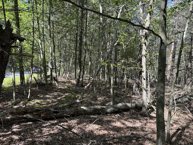 Fawn Rd, Hawley, PA 18428 - photo 4